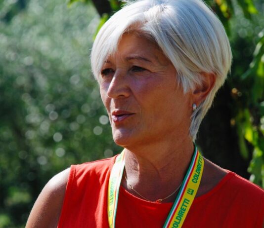 Campagna olearia Coldiretti: le indicazioni per una buona raccolta