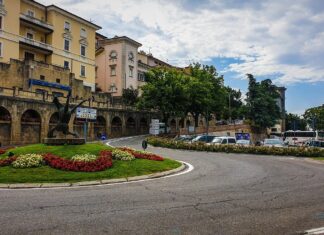 Qualità dell’aria, parte campagna su bando per alberi in città: 63 i comuni interessati