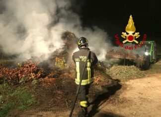 Prende fuoco un vivaio a Terranova, intervento dei Vigili del Fuoco nella notte
