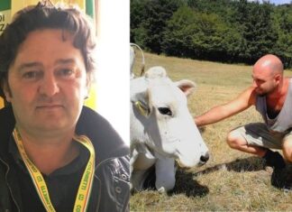 Via libera a carne finta. Coldiretti: “Questa non è una bistecca”