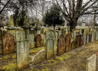 Trasporto pubblico, navette gratis per il cimitero 1 e 2 Novembre