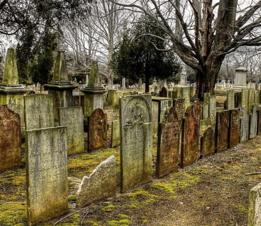 Trasporto pubblico, navette gratis per il cimitero 1 e 2 Novembre