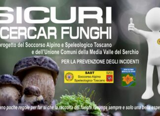 Sicuri a cercare i funghi? Ecco tutte le indicazioni