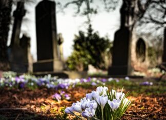 Montevarchi: i servizi cimiteriali spostano il loro ufficio da Palazzo Martini al Cimitero