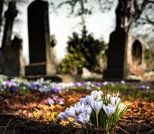 Montevarchi: i servizi cimiteriali spostano il loro ufficio da Palazzo Martini al Cimitero