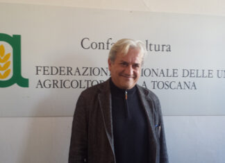 Agricoltura 4.0, ecco la tecnologia che cura le viti con meno fitofarmaci