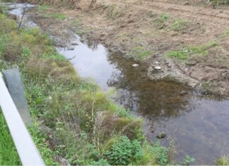 Montevarchi, lavori di manutenzione al torrente Caposelvi