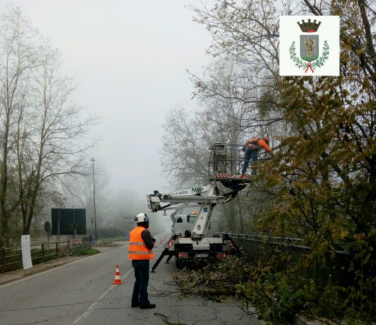 Pista ciclopedonale dell’Arno, iniziati i lavori di abbattimento di alberi lungo la Sr. 69