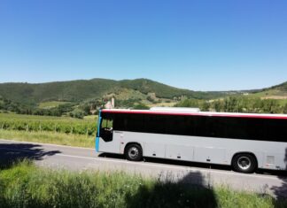 Ritorno a scuola, Tiemme potenzierà i servizi scolastici con 103 bus in più