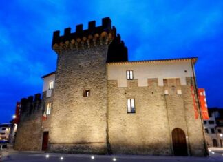 Servizi Online di mensa e trasporto: dal 1° di marzo sarà obbligatorio accedere con la Spid