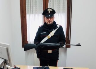 Gatto ucciso a colpi di fucile: denunciato l’autore del delitto