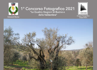 Bucine: il Campo della Biodiversità olivicola della Valdambra si arricchisce