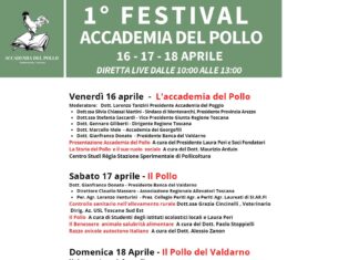 A Montevarchi il Primo Festival dell’Accademia del pollo