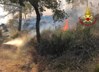 Incendi, prorogato al 19 settembre il divieto assoluto di abbruciamenti