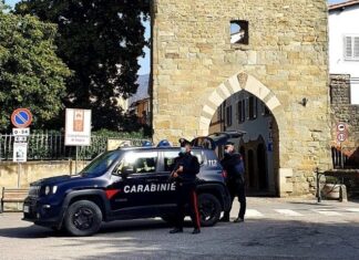 Spacciandosi al telefono per un funzionario bancario, si fà consegnare le credenziali di accesso e la deruba di 1000euro. Identificato e denunciato dai carabinieri