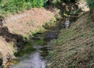 Torrenti cavrigliesi, in corso pulitura e messa in sicurezza