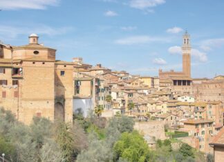 Bucine: sabato 2 ottobre escursione a San Leolino alla scoperta delle erbe selvatiche