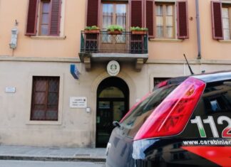 Coltivava piante di cannabis nelle pertinenze della propria abitazione, scoperto e denunciato dai carabinieri