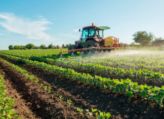 Agricoltura, bandi per biologico e coltivazioni in aree montane: domande tutte finanziate