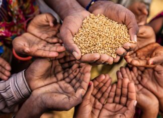 La fame imperversa nel mondo: Africa e Asia restano i Paesi più colpiti