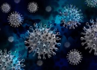 Coronavirus: 1404 nuovi casi nell’aretino, 26 persone in degenza covid, 3 in terapia intensiva