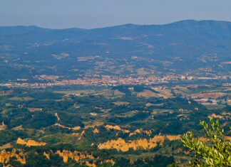 Assemblee di frazione, ecco tutti gli eletti. Insediate tutte le Assemblee di frazione: gli eletti nella Consulta