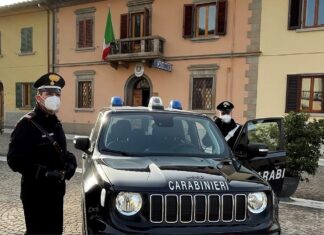 Cagnetta presa a bastonate a Cavriglia. Le indagini dei carabinieri consentono di denunciarne l’autore