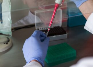 Coronavirus: 746 nuovi casi nell’aretino, 40 persone in degenza covid, 9 in terapia intensiva