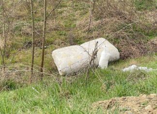 Giornata mondiale della terra 2022