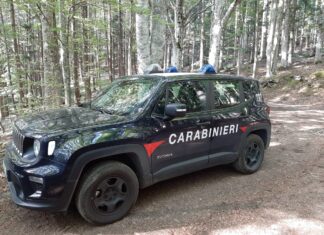 San Giovanni Valdarno: scuola del Doccio, sopralluogo dei carabinieri forestali