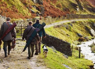 Cavriglia, parte la stagione venatoria 2022/2023: come ritirare i tesserini