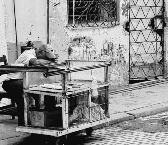 Di ritorno da Cuba: impressioni e foto di un paese che sta male