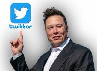 Twitter, Musk ha lanciato spunta blu a pagamento: 7,99 dollari al mese