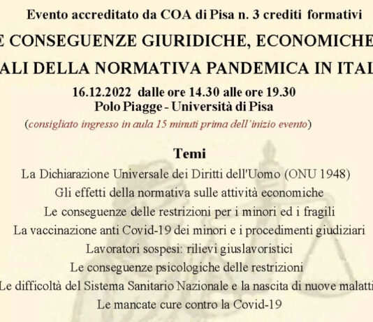 Le conseguenze giuridiche, economiche e sociali della normativa pandemica in Italia