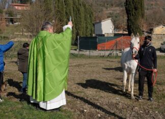 Pizzeria, Messa per Sant’Antonio abate e Benedizione animali: le iniziative di Porta Sant’Andrea