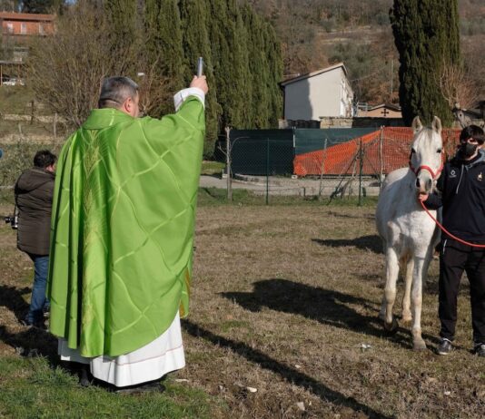 Pizzeria, Messa per Sant’Antonio abate e Benedizione animali: le iniziative di Porta Sant’Andrea