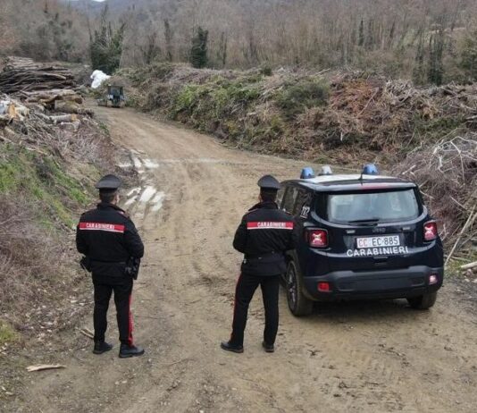 Producevano cippato fake e lo rivendevano come biomassa di pregio: coinvolte 13 imprese