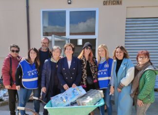 Nuova distribuzione di cibo alle colonie feline