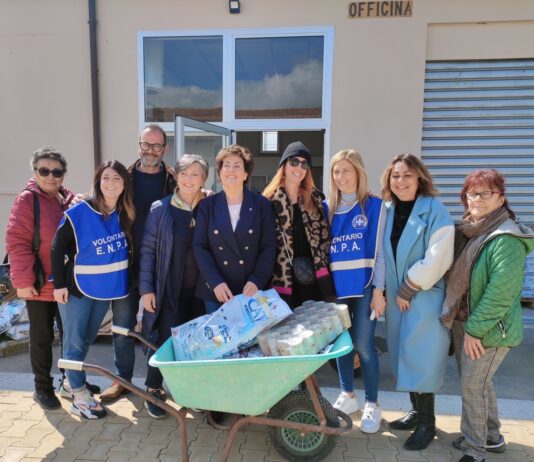 Nuova distribuzione di cibo alle colonie feline