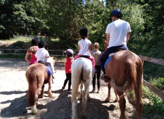 Da lunedì 12 giugno partono i campi estivi alla Scuderia Pan