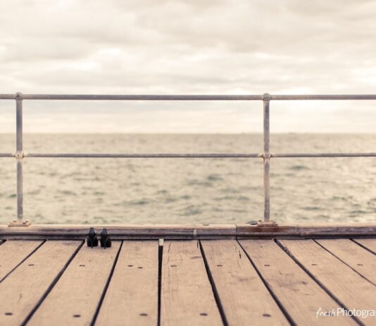 MUSICA PER… Un Ferragosto Fresco ed in Solitudine