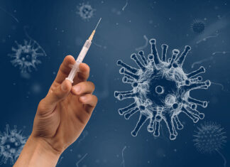 Spike-Patia: la proteina spike Covid-19 è patogena