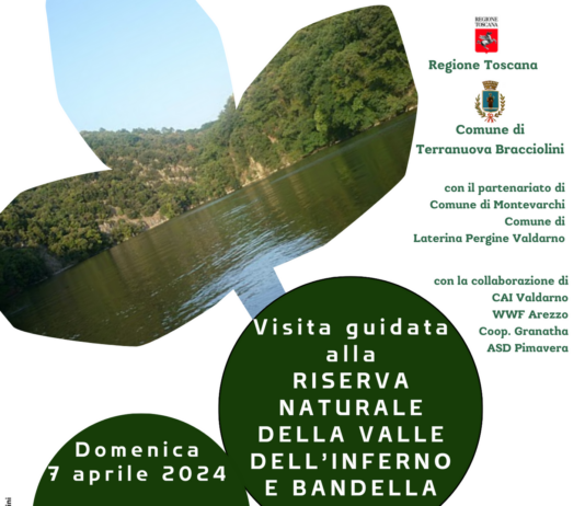 Visita guidata alla riserva naturale della Valle dell’inferno e Bandella