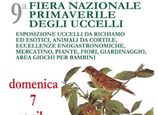 Domenica 7 aprile a Terranuova torna la Fiera nazionale primaverile degli uccelli