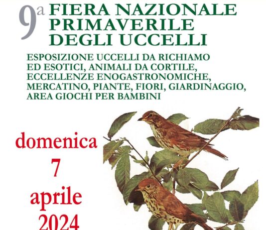 Domenica 7 aprile a Terranuova torna la Fiera nazionale primaverile degli uccelli