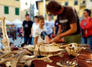 A Montevarchi sabato 25 e domenica 26 maggio torna il Paleofest. Il Festival della Preistoria