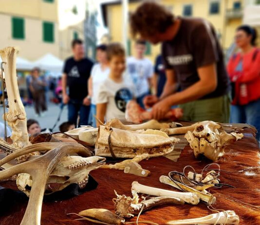 A Montevarchi sabato 25 e domenica 26 maggio torna il Paleofest. Il Festival della Preistoria