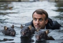 FRANCESI, Loro la fanno, il Mondo ci deve nuotare.