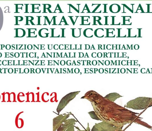 Decima fiera nazionale primaverile degli uccelli a Terranuova Bracciolini