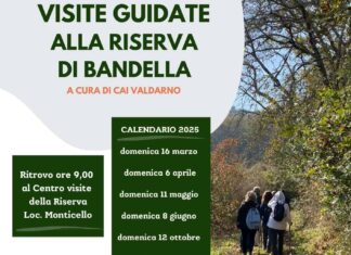 Terranuova Bracciolini, ripartono le visite guidate gratuite alla riserva di Bandella
